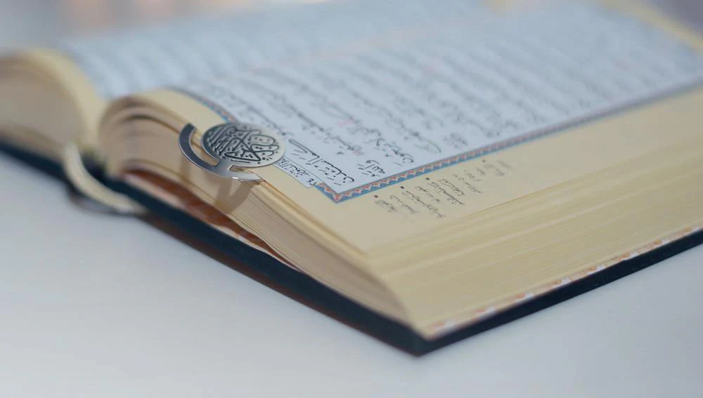 صورة المنتج 4