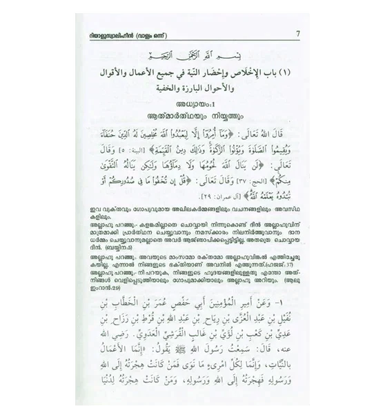 صورة المنتج 3