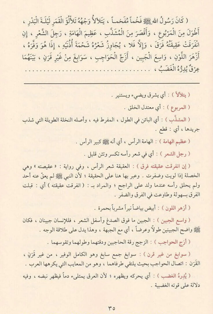 صورة المنتج 2
