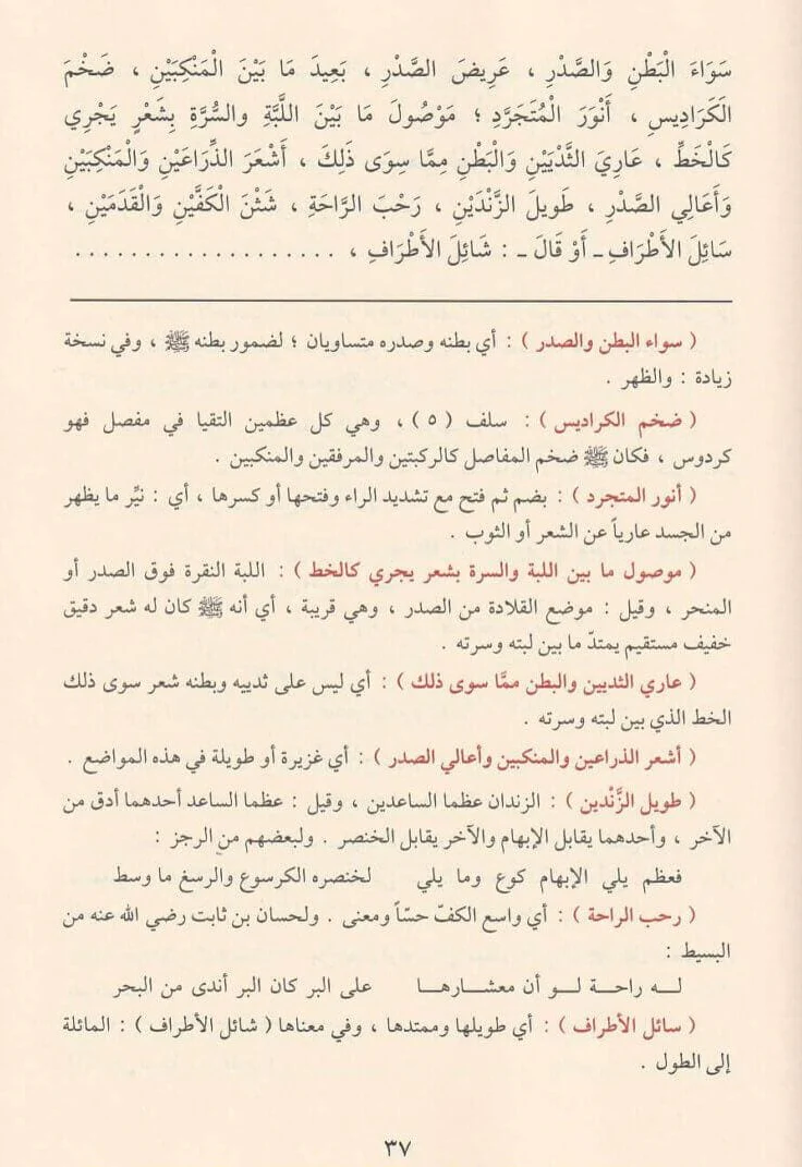 صورة المنتج 4
