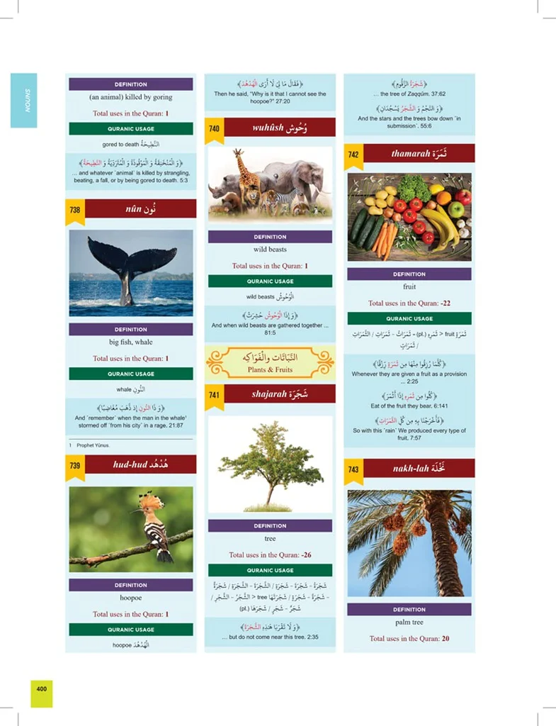 صورة المنتج 5