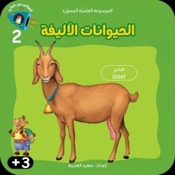 صورة المنتج 5