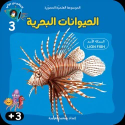 صورة المنتج 7