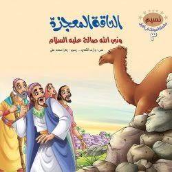 صورة المنتج 17