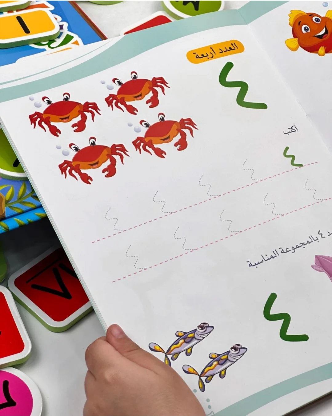 صورة المنتج 14
