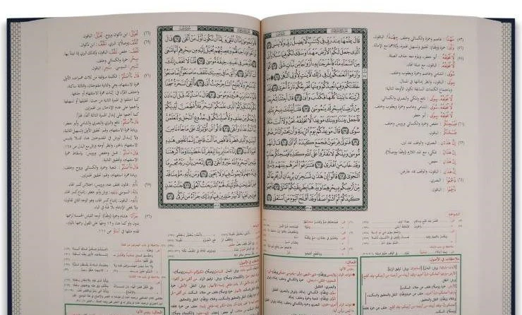 صورة المنتج 3