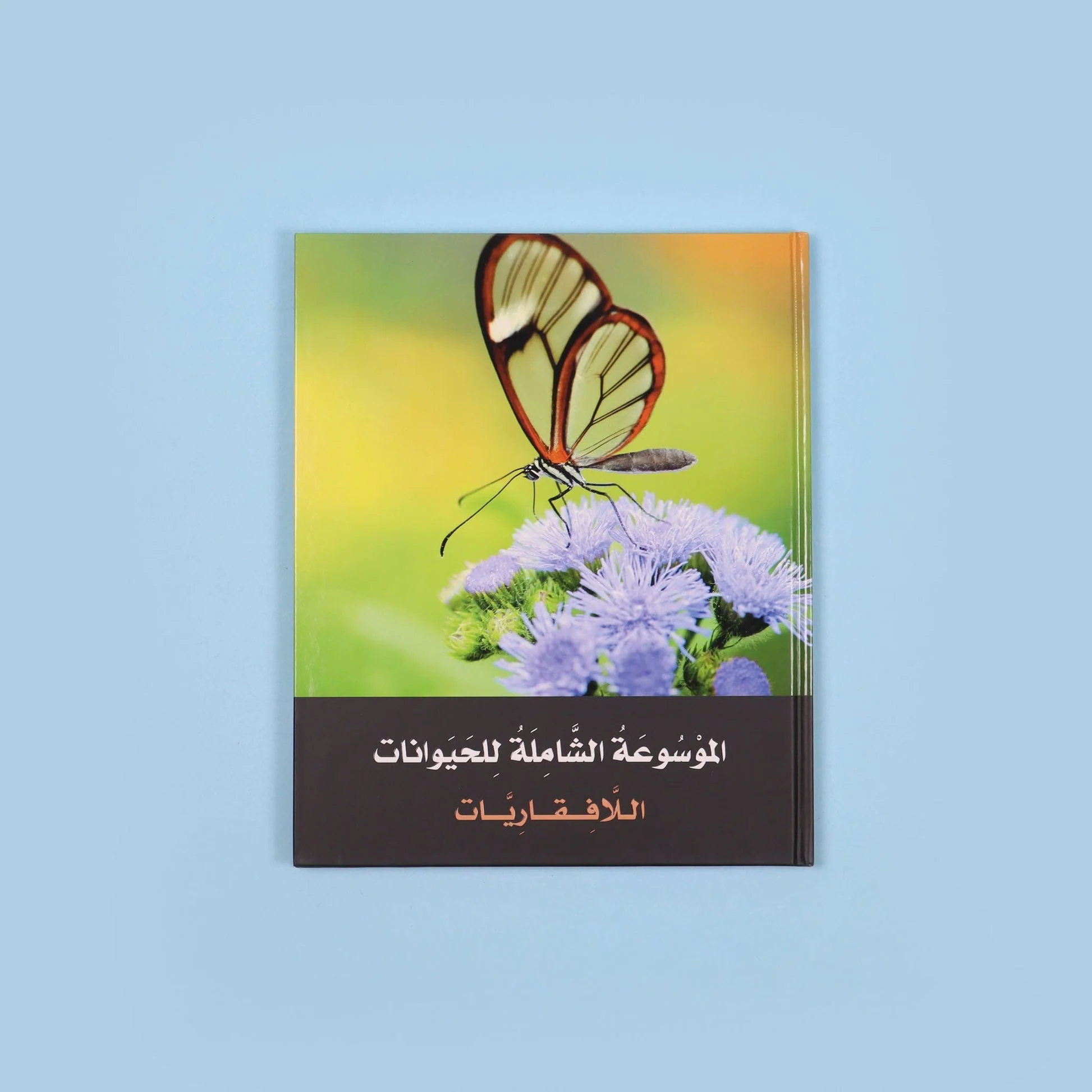 صورة المنتج 5