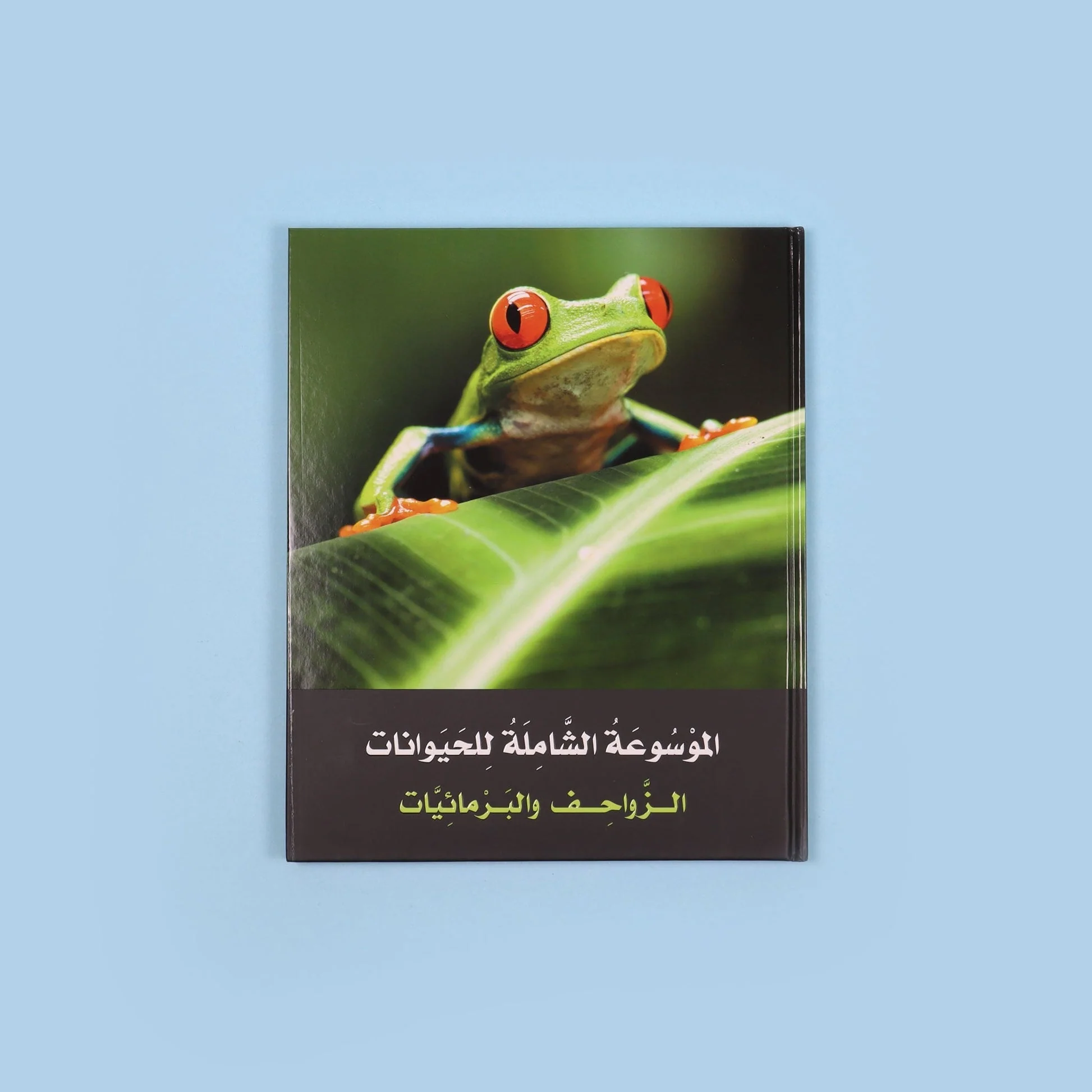 صورة المنتج 7