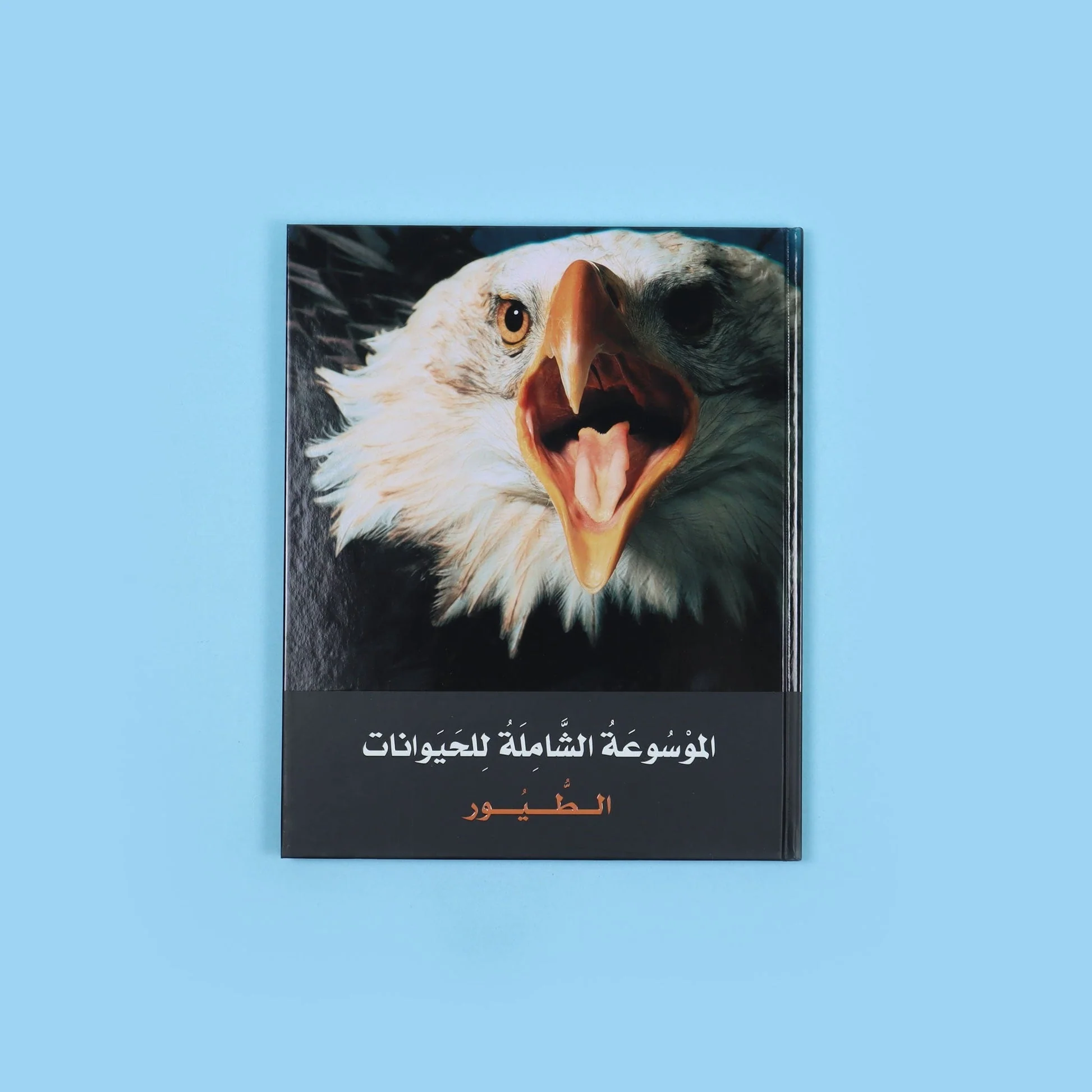صورة المنتج 8