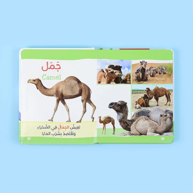 صورة المنتج 2