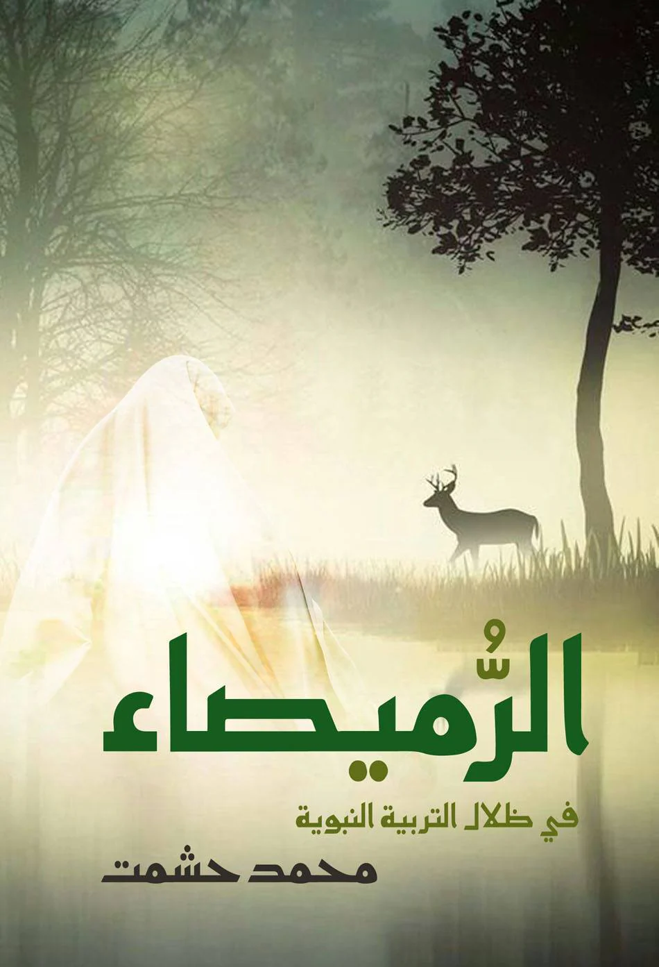 صورة المنتج 2