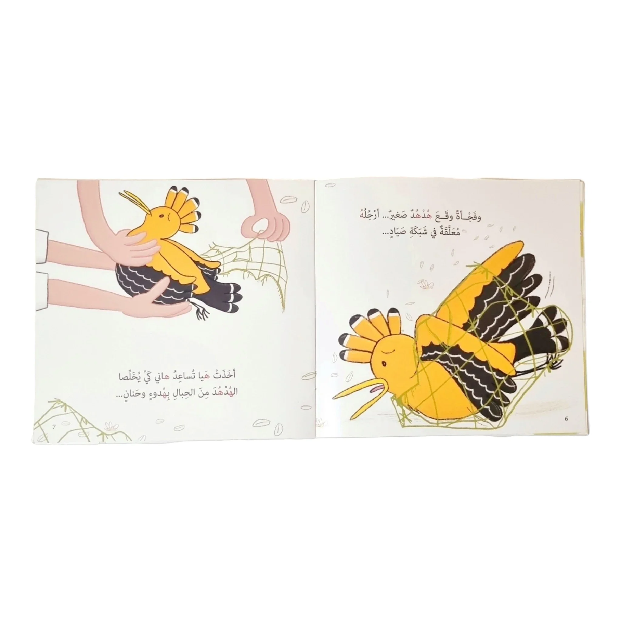 صورة المنتج 9