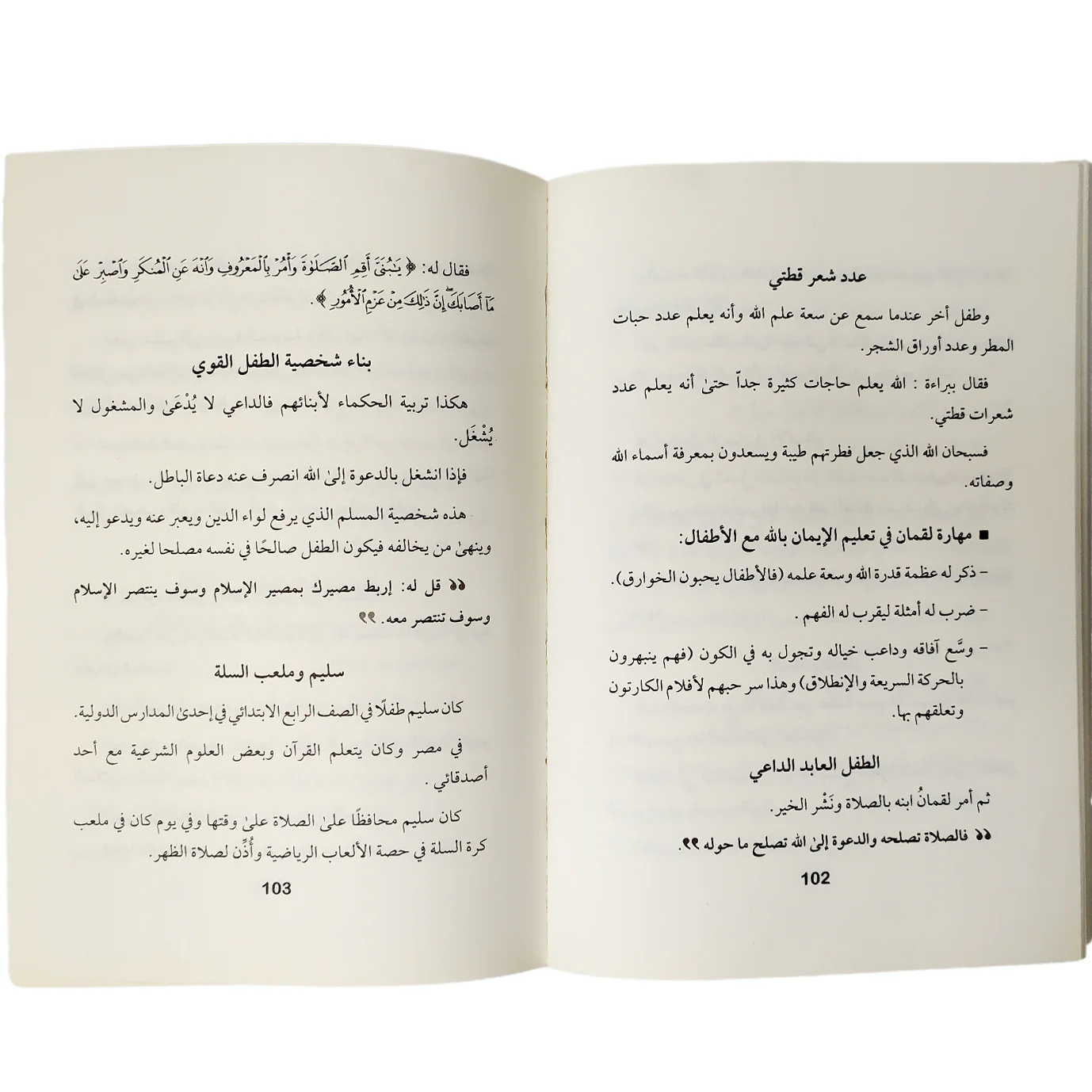 صورة المنتج 2