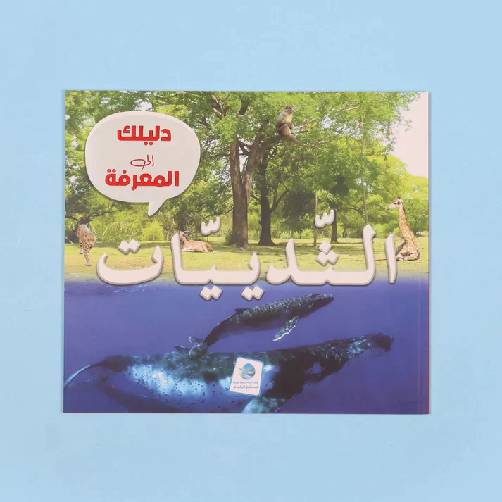 صورة المنتج 10