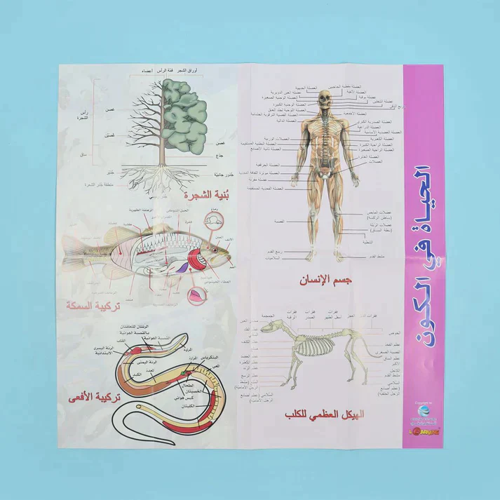 صورة المنتج 20