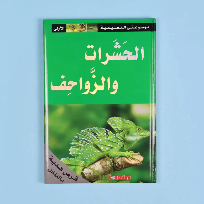 صورة المنتج 10