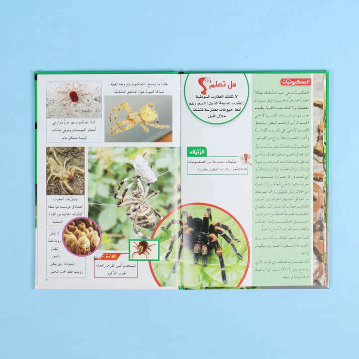 صورة المنتج 16
