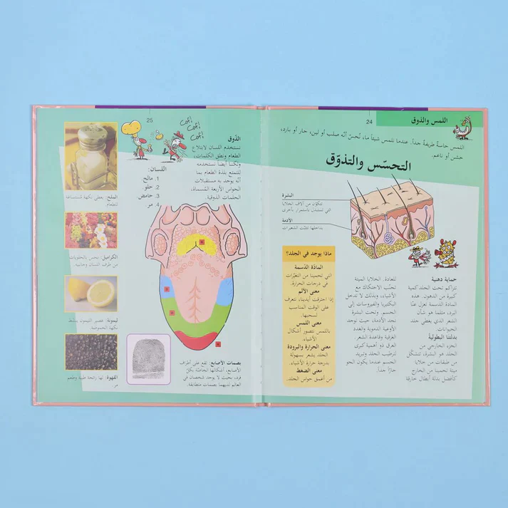 صورة المنتج 12