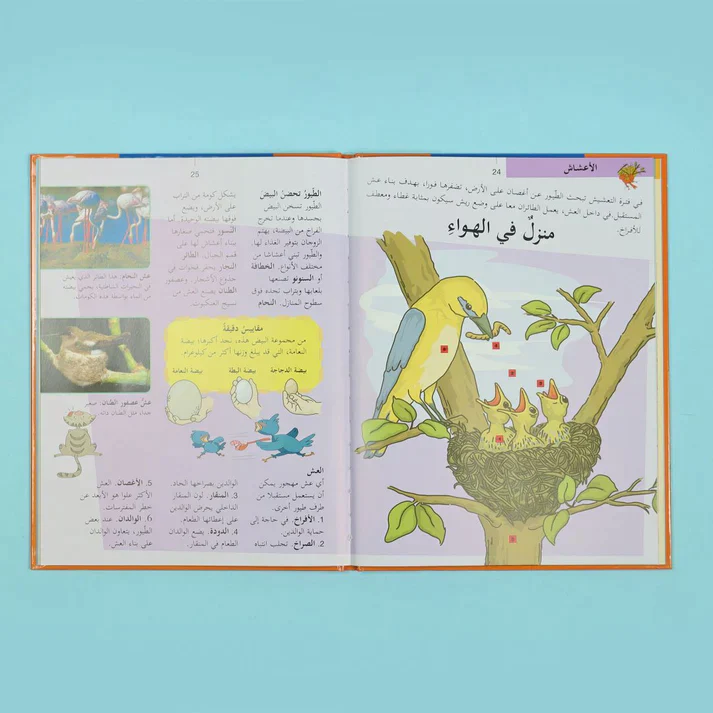 صورة المنتج 23
