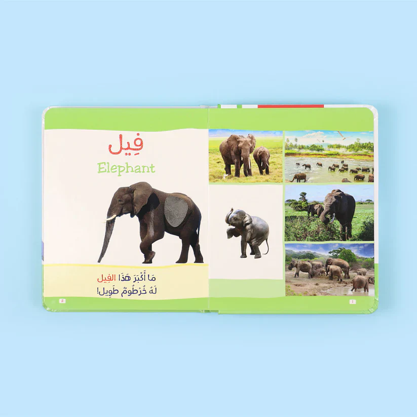 صورة المنتج 6