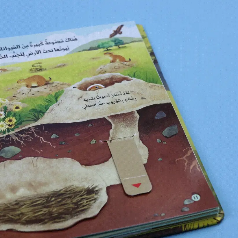 صورة المنتج 18