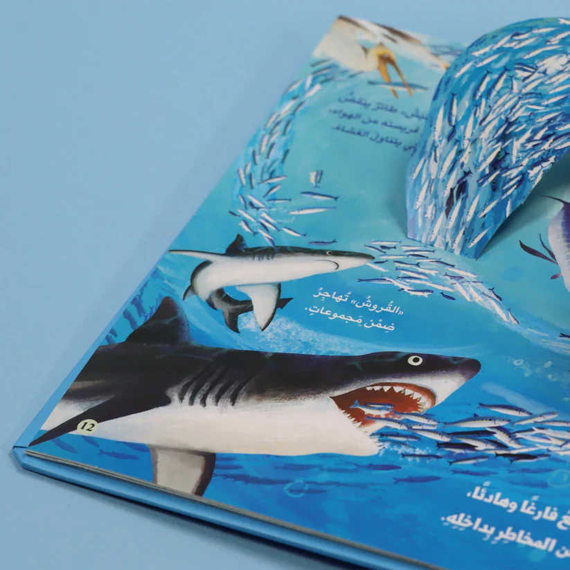 صورة المنتج 9