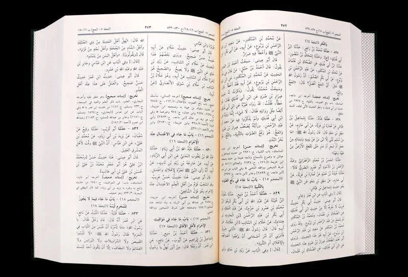 صورة المنتج 2